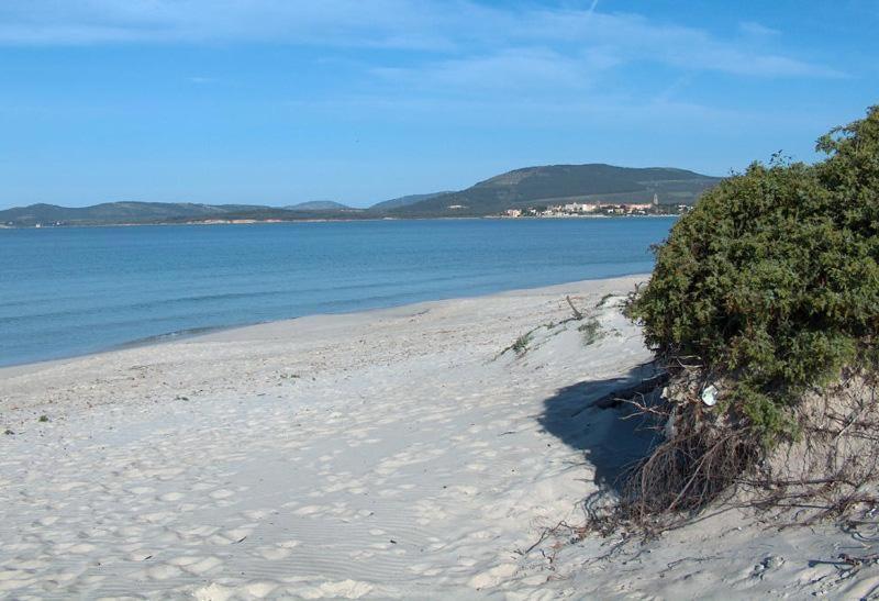Appartamento A Pochi Passi Dalla Spiaggia 阿尔盖罗 外观 照片