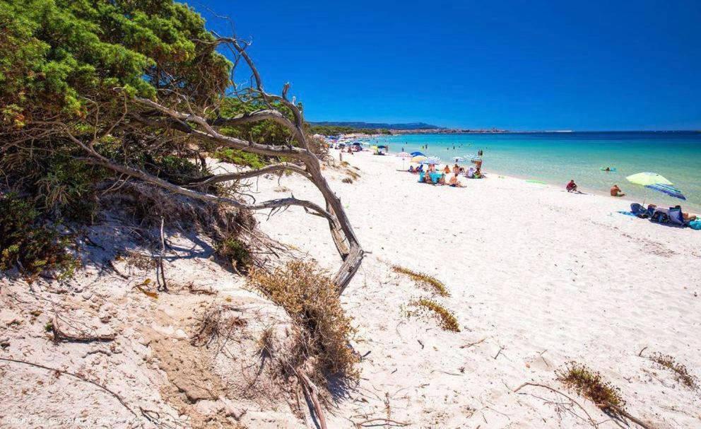 Appartamento A Pochi Passi Dalla Spiaggia 阿尔盖罗 外观 照片